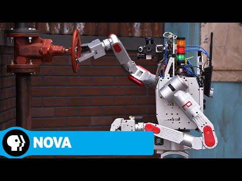 NOVA: Rise of the Robots'