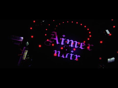Aimer「us」LIVE(Aimer Live in 武道館
