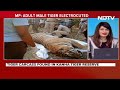 Tiger Electrocuted To Death At Kanha Reserve In Madhya Pradesh, 1 Detained  - 02:10 min - News - Video