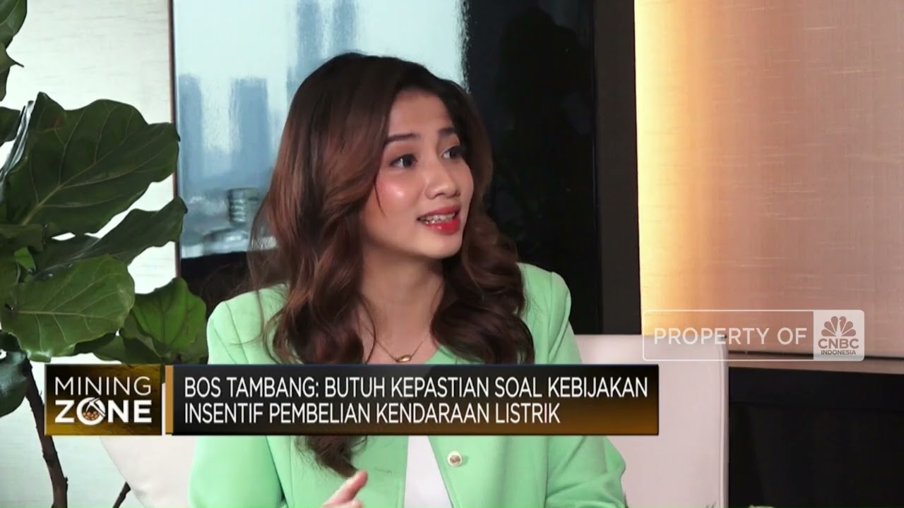 Bos Tambang Singgung Kebijakan Pemerintah Soal Insentif EV