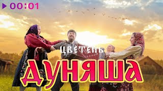 Цветень — Дуняша | Official Audio | 2024