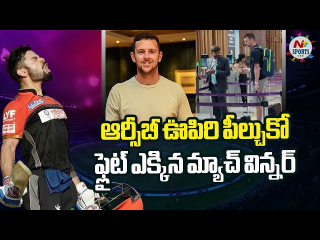 ఆర్సీబీ ఊపిరి పీల్చుకో.. ఫ్లైట్ ఎక్కిన మ్యాచ్ విన్నర్..! | NTV Sports