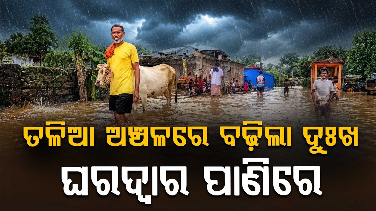 Baitarani Flood Update: Water Level Recedes But Misery Continues For Low-lying Areas | Argus News