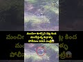 మంచిగా కూర్చొని చెట్ల కింద మందేస్తున్న కుర్రాళ్ళు.. పోలీసుల సడెన్ ఎంట్రీ.. | Viral Video | Prime9  - 00:05 min - News - Video
