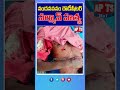 నందనవనం రౌడీషీటర్ సల్మాన్ హత్య  - 00:34 min - News - Video