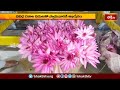 కదిరి నర్సింహునికి నేత్రపర్వంగా పుష్పయాగం | Devotional News | Bhakthi TV  #lakshminarasimhaswamy - 01:54 min - News - Video