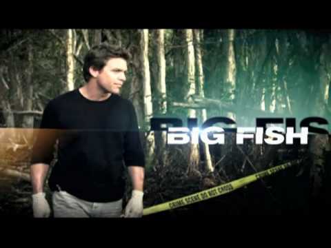 The Glades'