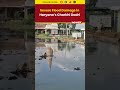 #watch | Haryana monsoon destruction hits Charkhi Dadri, residents face crisis | #shorts - 00:42 min - News - Video