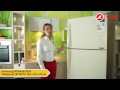 Видеообзор холодильника с верхней морозильной камерой Samsung RT46H5130EF с экспертом М.Видео