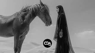 Ramy Mishriky — Tany Leh [PREMIERE]