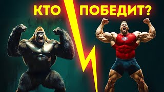 Человек против гориллы: кто выиграет и почему?