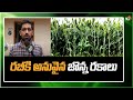 రబీకి అనువైన జొన్న రకాలు | Sorghum varieties suitable for Rabi Season | Matti Manishi | 10TV