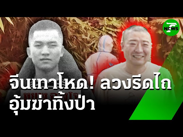"แก๊งจีนเทา" อุ้มฆ่าโหด! เพื่อนร่วมชาติ จับเรียกค่าไถ่ | 15 ก.ค. 68 | ห้องข่าวหัวเขียว