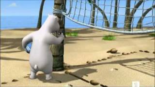 Medve Bernard - Volejbal