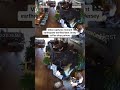 Video shows New Jersey coffee shop patrons reacting to the earthquake  - 00:33 min - News - Video