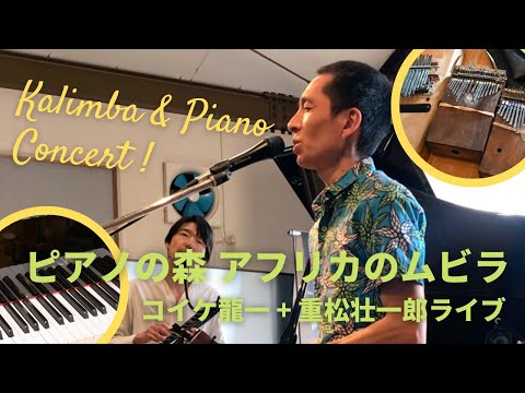 Sohichiroh Shigematsu - Kalimba & Piano Concert - Ryuichi Koike & Sohichiroh Shigematsu