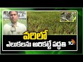 వరిలో ఎలుకలను అరికట్టే పద్ధతి | Rat Control in Paddy Cultivation | Matti Manishi | 10TV News
