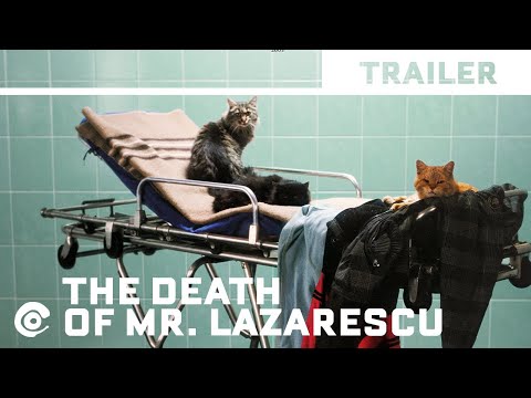 The Death of Mr. Lazarescu'