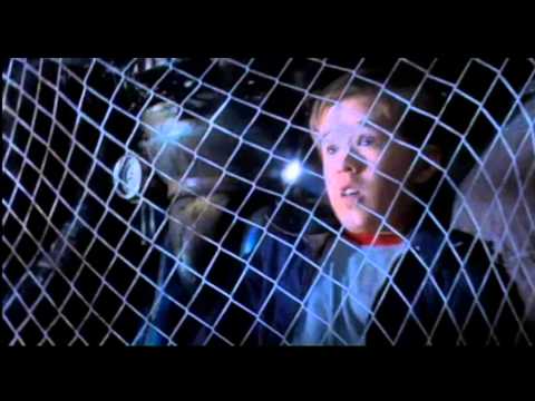 Artificial Intelligence: AI'