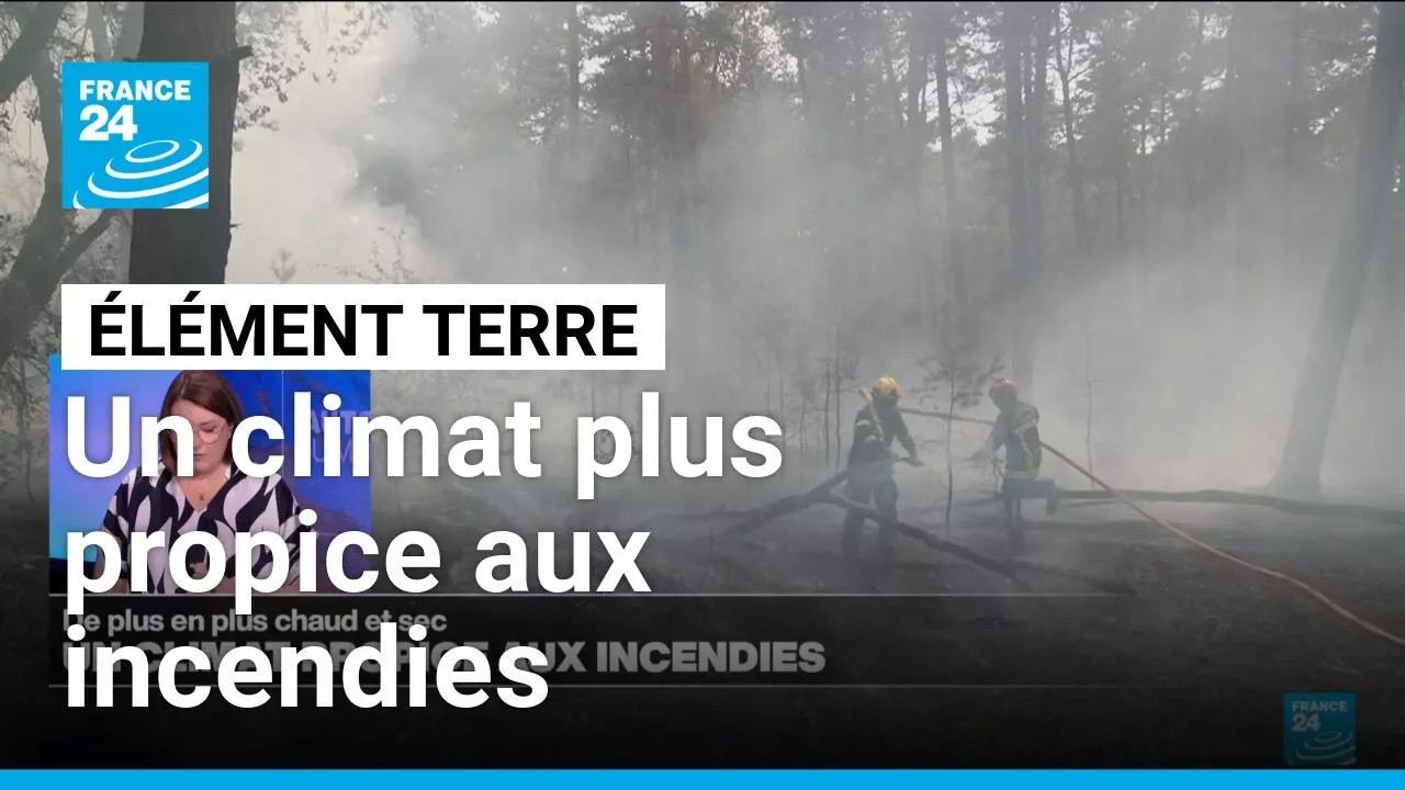 Un climat de plus en plus propice aux feux de forêt • FRANCE 24