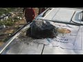 Aid group chief demands independent investigations after Israeli strikes on Gaza aid workers  - 01:54 min - News - Video