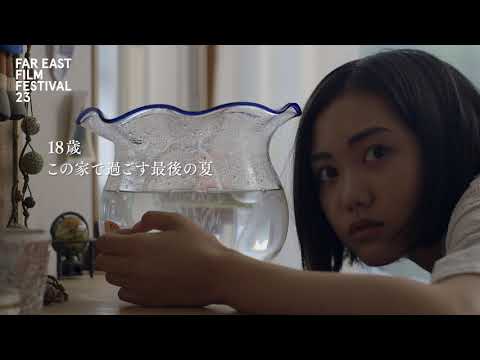 The Goldfish: Dreaming of the Sea'