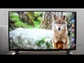 LG 43UH7507 WebOS 3.0 Menu in HD | 49UH7507 55UH7507 65UH7507