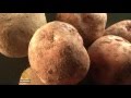 Nasa wants to grow potatoes on Mars