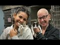 Animal shelter finds homes for pets on Thanksgiving  - 01:47 min - News - Video