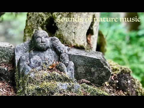 Madhav Mystic Music - Duduk forest stream meditation