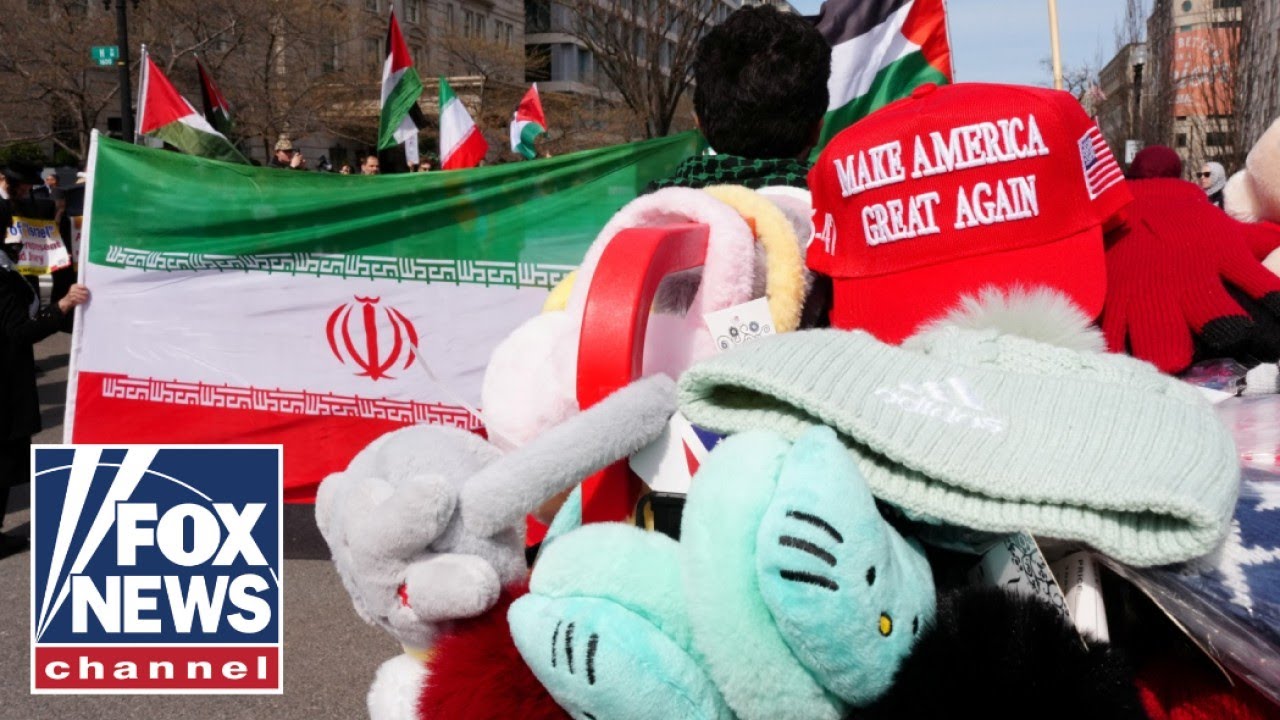 ‘HYPOCRITICAL’: Iranian expert SLAMS pro-regime protesters in the West