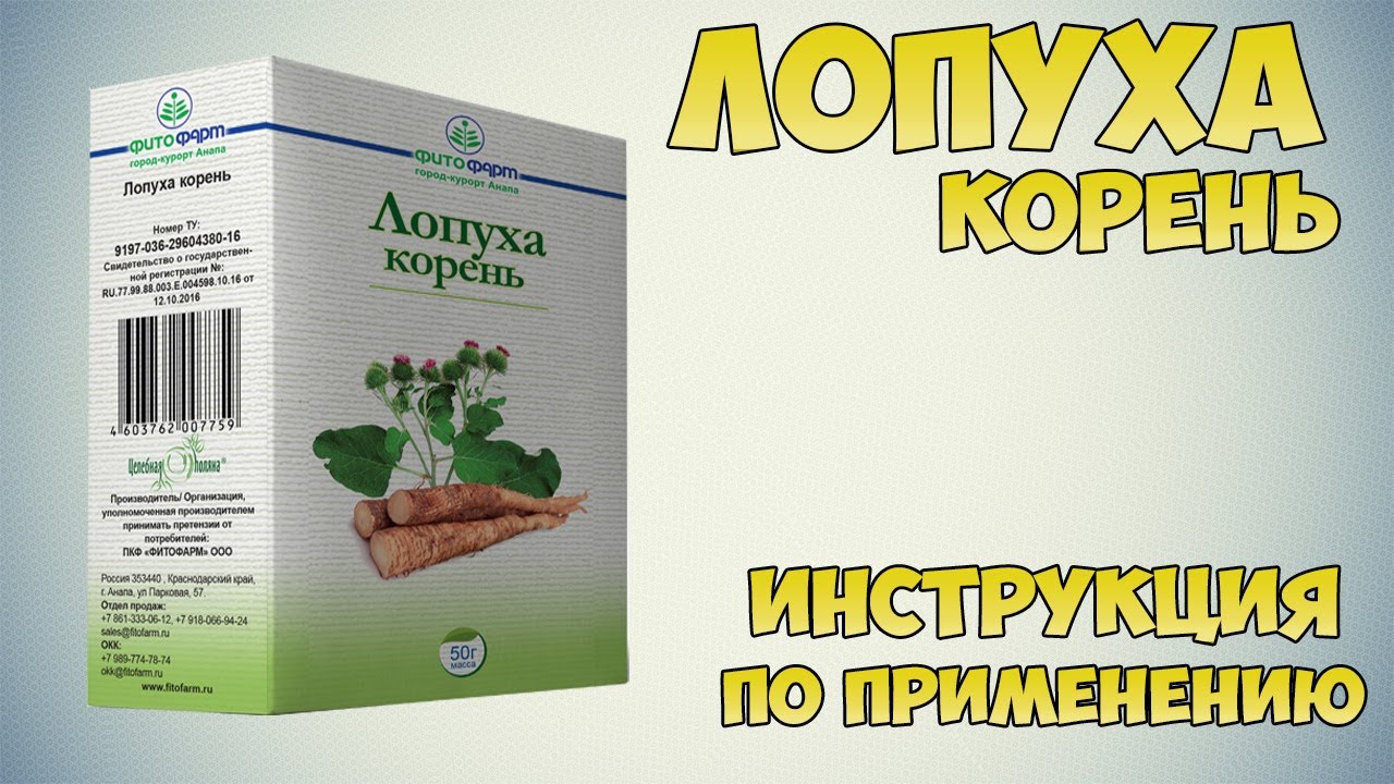 Корень лопуха в аптеке фото