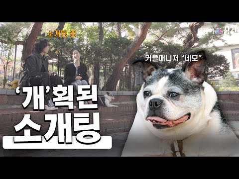 반려견 커플매니저의 소개팅 메이드 ㅣ 아재의참견 시즌2 EP07