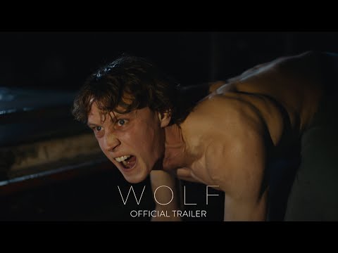 Wolf'