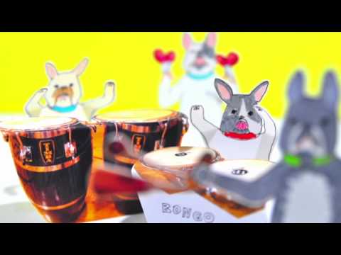 犬はアイスが大好きだ 槇原敬之 × COLD STONE CREAMERY