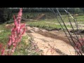Numéro 1000 ft Stewart - Dungey - Barcia (vurbmoto)
