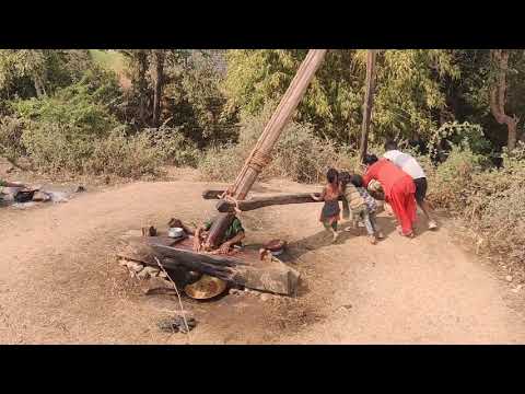 Oilseed Crushing Device ( Kol in Nepali)