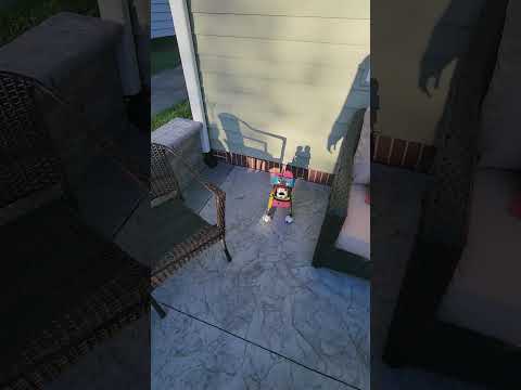Video realizado por la propiedad
