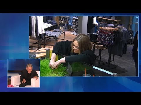 Ellen Looks Back at Her Favorite LOL Moments