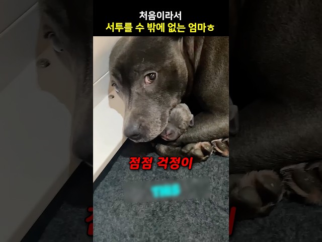 처음이라서 서투를 수 밖에 없는 엄마ㅎ