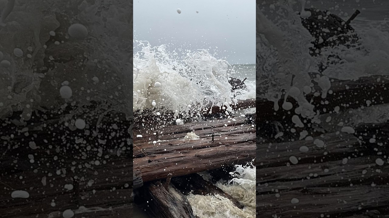 Une puissante tempête dévoile l'épave d'un navire du XIXe siècle sur une île américaine
