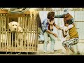 నీకు కుక్క పిల్లలు దొంగతనం చేయడానికి ఎంత ధైర్యం రా | Best Telugu Movie Comedy Scene | Volga Videos