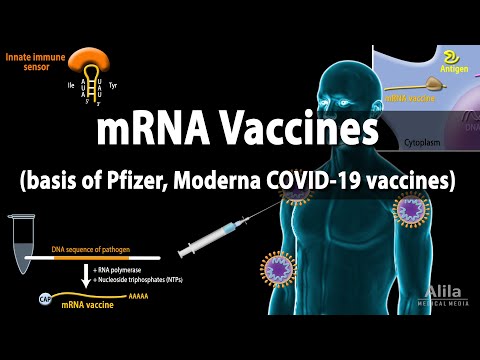 RNA Vaccines (mRNA Vaccine) - Basis of Pfizer and Moderna COVID-19 vaccines, Animation