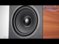Напольная акустика Davis Acoustics Vinci 3D