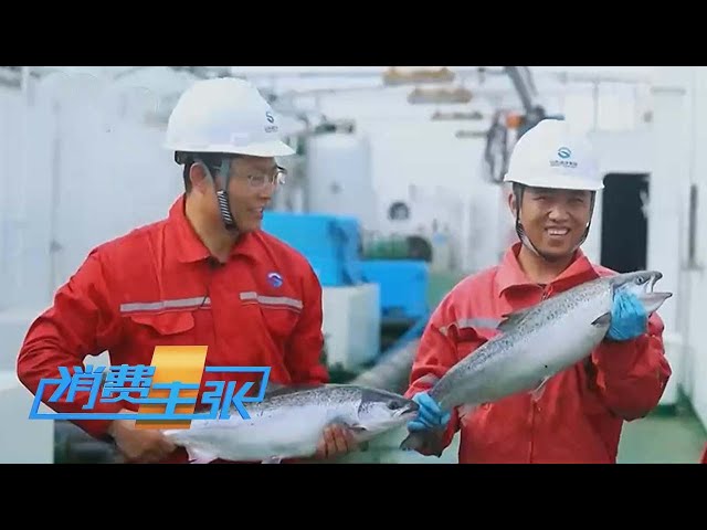 《消费主张》 20250704 向海图强 深蓝新“食”力（上） |  财经风云