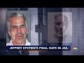 New details on days leading up to Jeffrey Epstein’s death revealed  - 02:53 min - News - Video