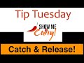 Catch and Release Those Pesky Flies | Tip Tuesday | Show Me The Curry
