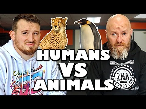 Upload mp3 to YouTube and audio cutter for What Animals Could You Beat in a Fight?! Part 2 download from Youtube