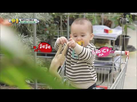 슈퍼맨이 돌아왔다 The Return of Superman - 월벤져스, 몽키 실정 사건의 전말?! (ft.천사 윌리엄).20190120