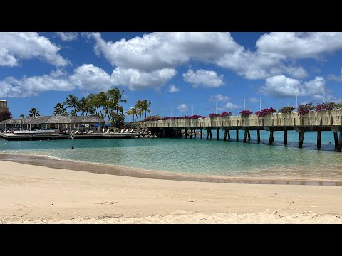 Property video